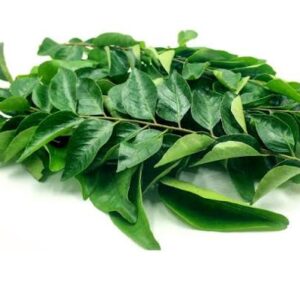 CURRY LEAF